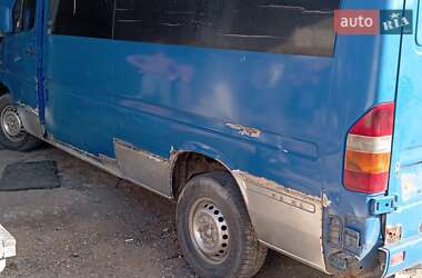 Микроавтобус Mercedes-Benz Sprinter 2000 в 
