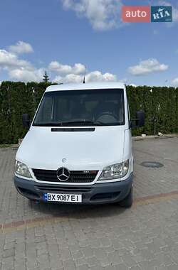 Грузопассажирский фургон Mercedes-Benz Sprinter 2005 в Хмельницком