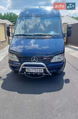 Грузопассажирский фургон Mercedes-Benz Sprinter 2003 в 