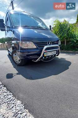 Грузопассажирский фургон Mercedes-Benz Sprinter 2003 в 