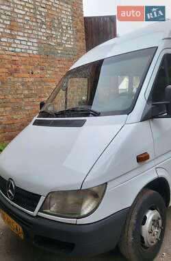 Мікроавтобус Mercedes-Benz Sprinter 2002 в Запоріжжі