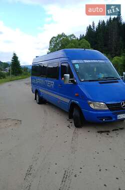 Мікроавтобус Mercedes-Benz Sprinter 2001 в Міжгір'ї