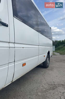 Микроавтобус Mercedes-Benz Sprinter 2000 в 