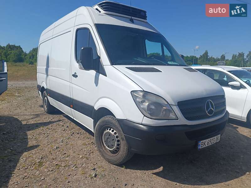Другие грузовики Mercedes-Benz Sprinter 2010 в Львове