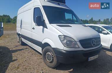 Другие грузовики Mercedes-Benz Sprinter 2010 в 