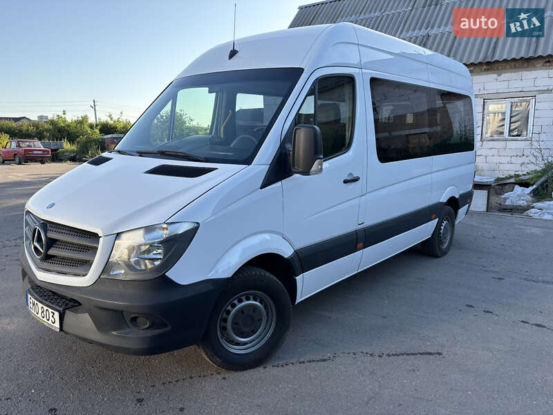 Мікроавтобус Mercedes-Benz Sprinter 2014 в Красилові