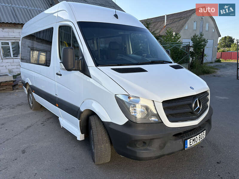 Мікроавтобус Mercedes-Benz Sprinter 2014 в Красилові