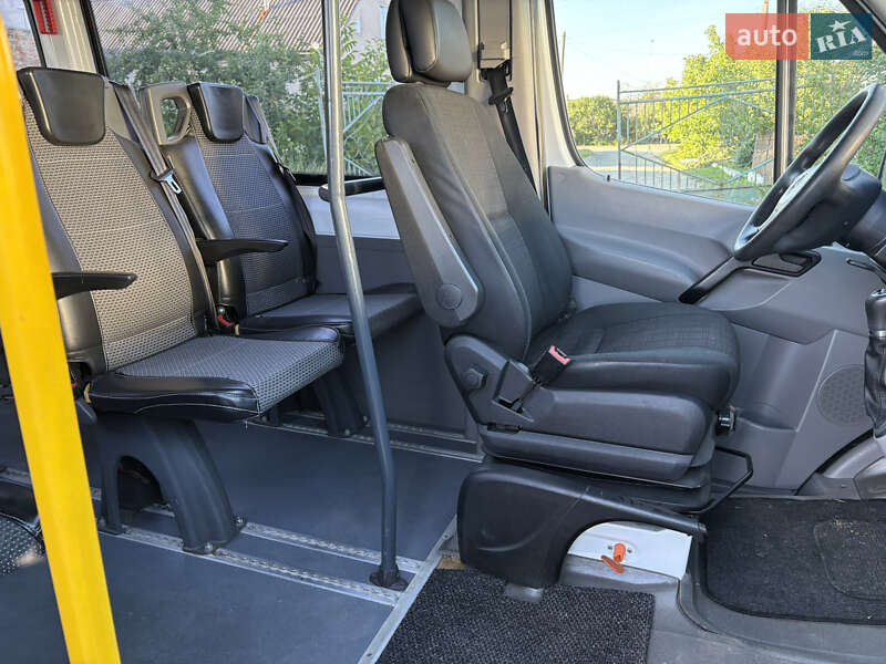 Мікроавтобус Mercedes-Benz Sprinter 2014 в Красилові