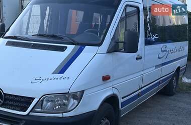 Микроавтобус Mercedes-Benz Sprinter 2002 в 