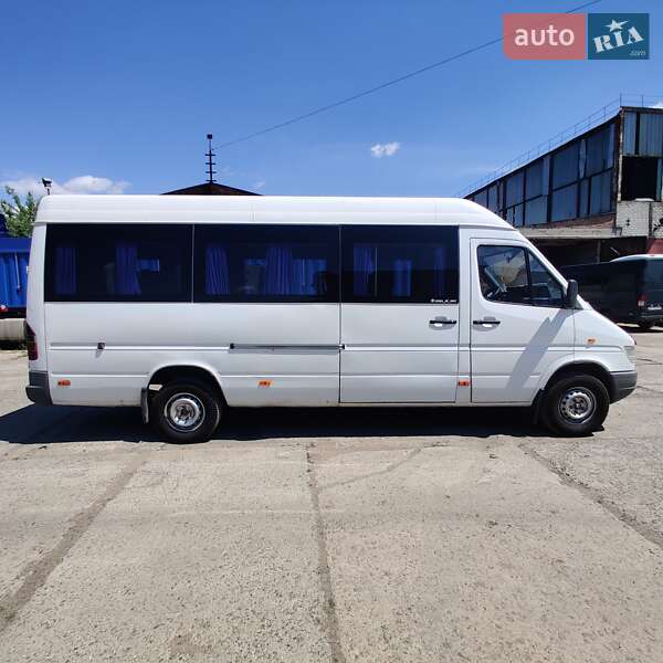 Микроавтобус Mercedes-Benz Sprinter 1999 в Николаеве