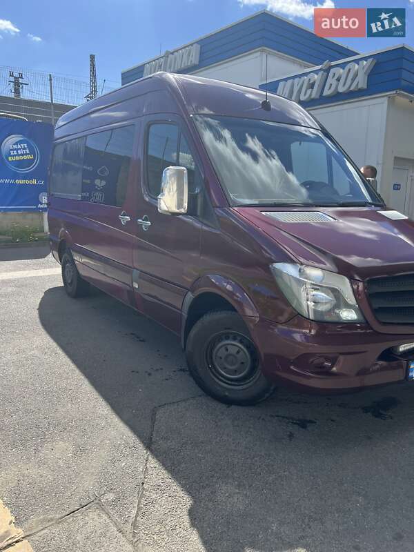 Микроавтобус Mercedes-Benz Sprinter 2010 в 