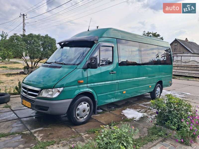 Микроавтобус Mercedes-Benz Sprinter 2001 в Кривом Роге