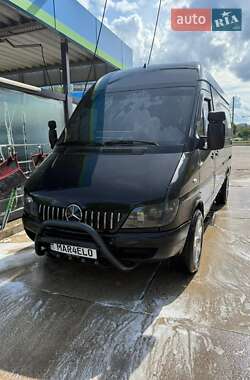 Грузопассажирский фургон Mercedes-Benz Sprinter 2004 в 