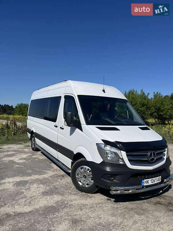 Микроавтобус Mercedes-Benz Sprinter 2010 в Березному