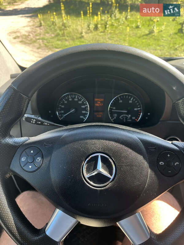 Микроавтобус Mercedes-Benz Sprinter 2010 в Березному