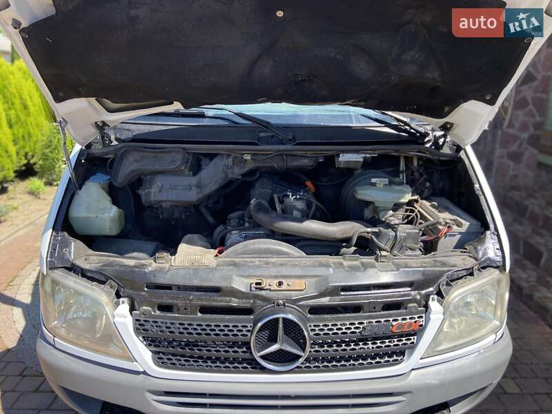 Микроавтобус Mercedes-Benz Sprinter 2005 в Калуше