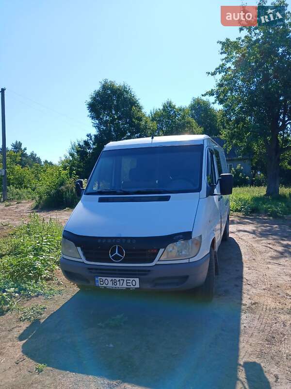 Другие грузовики Mercedes-Benz Sprinter 2006 в 