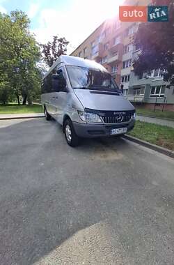 Микроавтобус Mercedes-Benz Sprinter 2006 в Межгорье