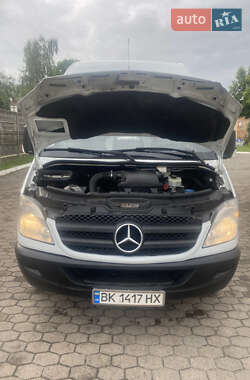 Микроавтобус Mercedes-Benz Sprinter 2009 в 