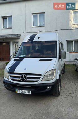 Микроавтобус Mercedes-Benz Sprinter 2009 в 