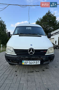 Микроавтобус Mercedes-Benz Sprinter 2002 в Запорожье