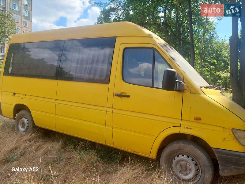 Микроавтобус Mercedes-Benz Sprinter 1996 в Кривом Роге
