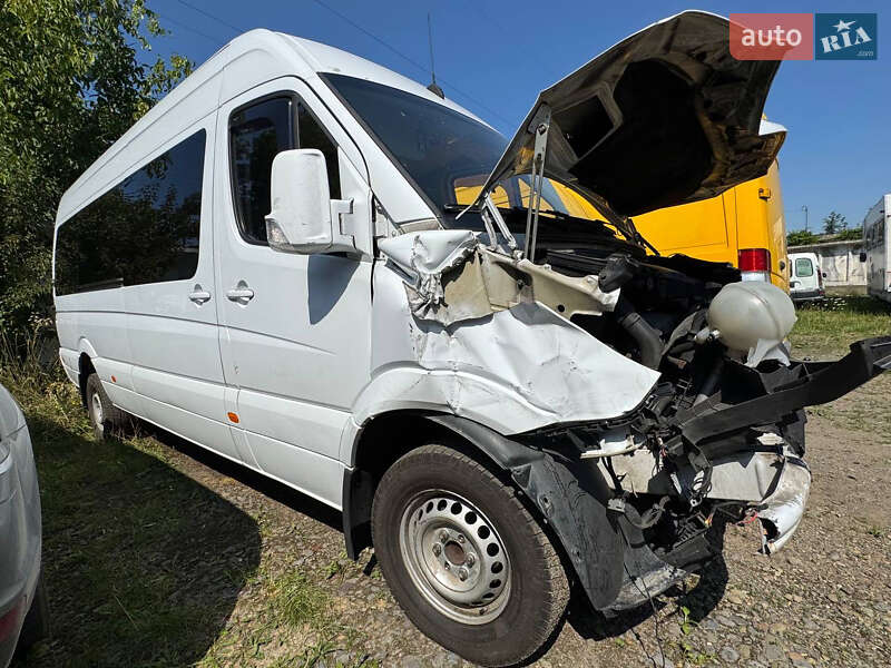 Грузопассажирский фургон Mercedes-Benz Sprinter 2014 в Стрые