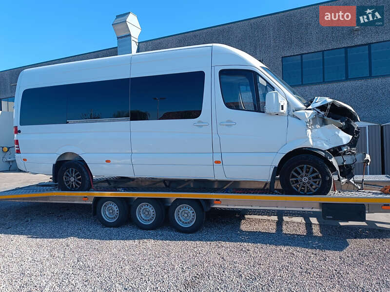 Грузопассажирский фургон Mercedes-Benz Sprinter 2014 в Стрые