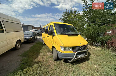 Микроавтобус Mercedes-Benz Sprinter 1998 в Полтаве