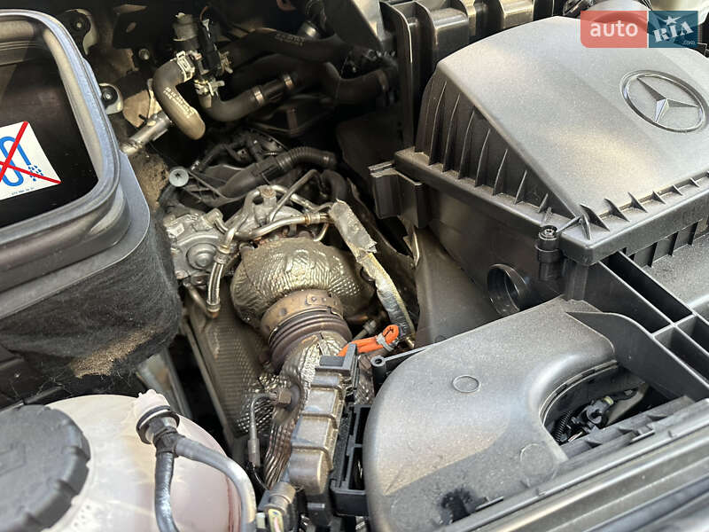 Рефрижератор Mercedes-Benz Sprinter 2022 в Бердичеві