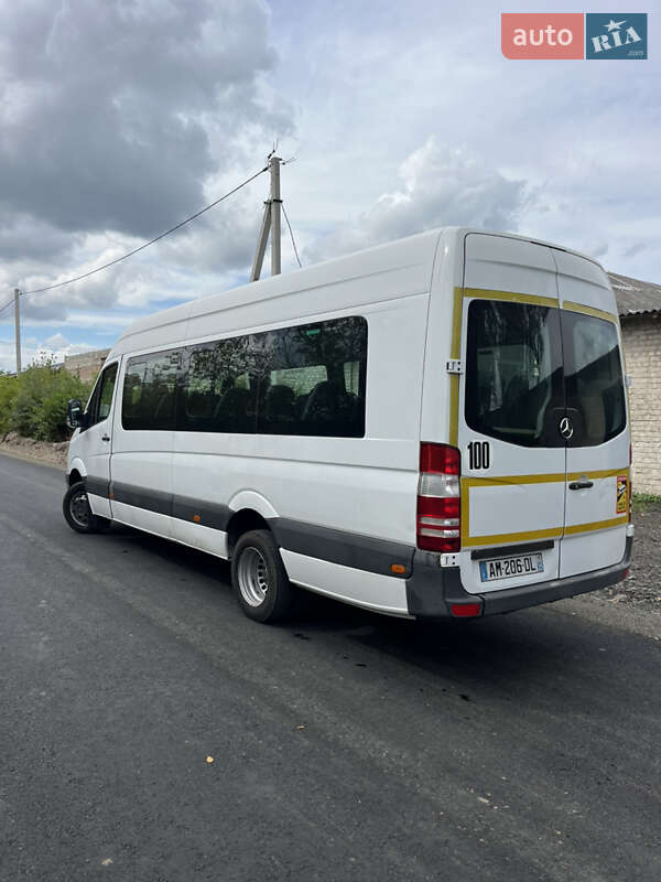 Пригородный автобус Mercedes-Benz Sprinter 2009 в Ковеле