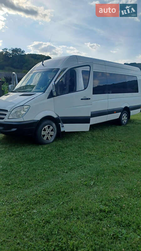 Микроавтобус Mercedes-Benz Sprinter 2009 в Тячеве
