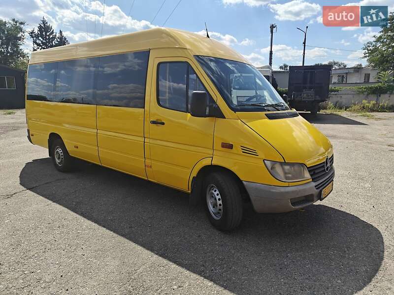 Микроавтобус Mercedes-Benz Sprinter 2004 в 