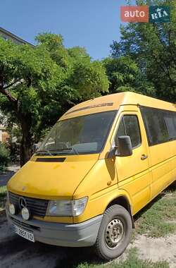 Грузопассажирский фургон Mercedes-Benz Sprinter 1996 в 