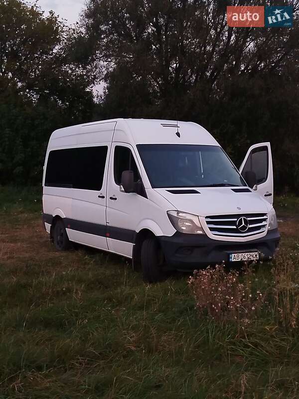 Микроавтобус Mercedes-Benz Sprinter 2013 в Калиновке