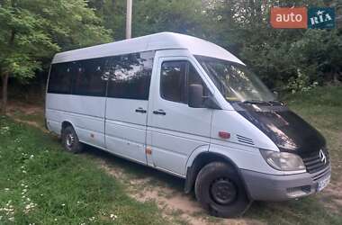 Микроавтобус Mercedes-Benz Sprinter 2001 в 