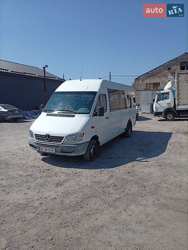 Мікроавтобус Mercedes-Benz Sprinter 2004 в Дніпрі