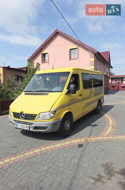 Микроавтобус Mercedes-Benz Sprinter 2004 в 