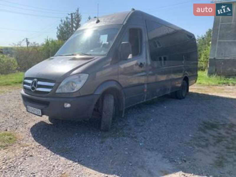 Mercedes-Benz Sprinter 2009