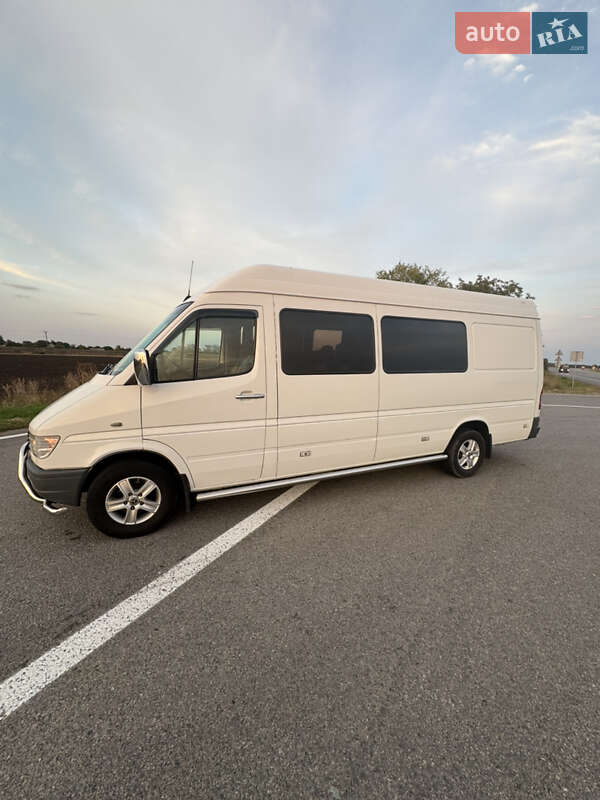 Мікроавтобус Mercedes-Benz Sprinter 1996 в Павлограді