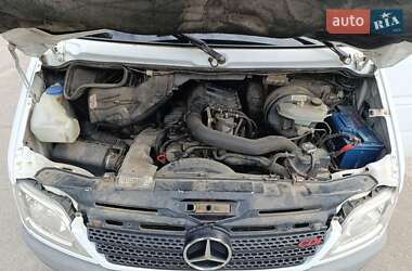 Вантажний фургон Mercedes-Benz Sprinter 2005 в 