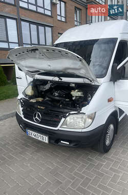 Другие грузовики Mercedes-Benz Sprinter 2005 в 