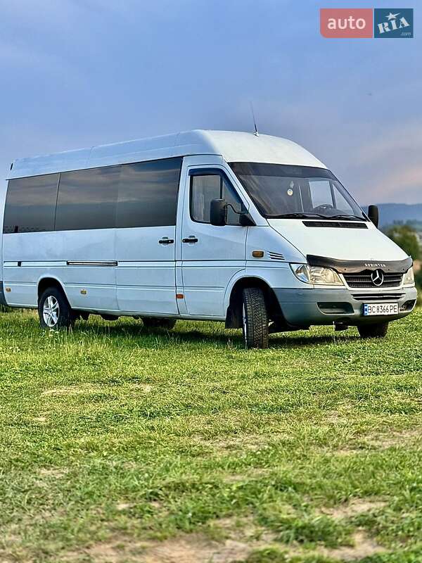 Микроавтобус Mercedes-Benz Sprinter 2004 в Бориславе