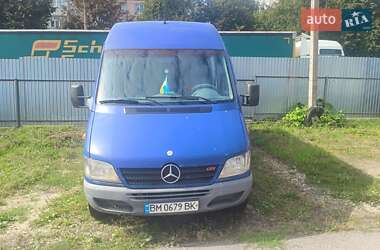 Грузопассажирский фургон Mercedes-Benz Sprinter 2004 в Сумах