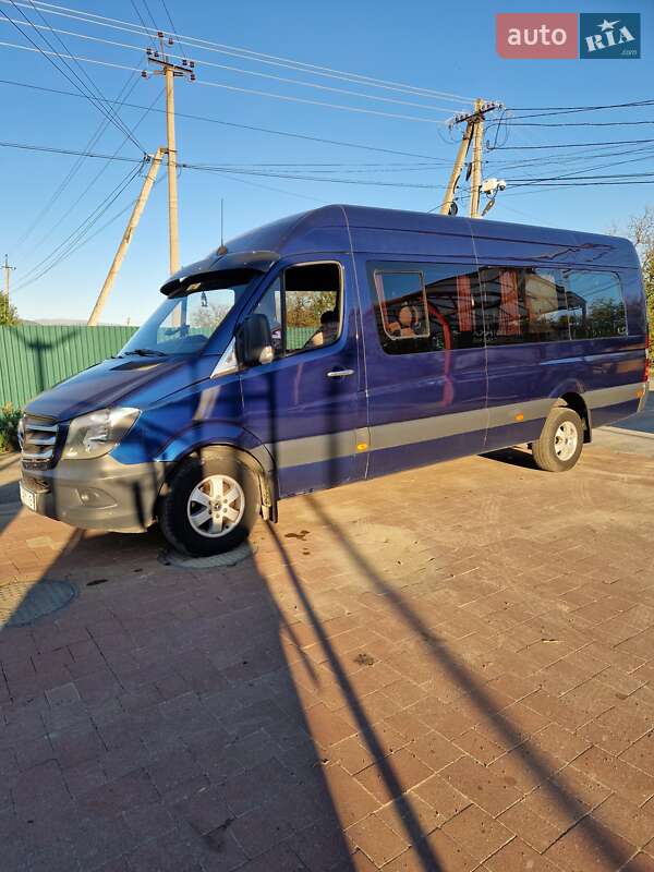 Микроавтобус Mercedes-Benz Sprinter 2009 в Тячеве