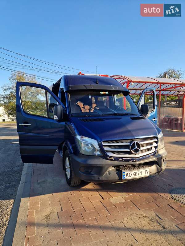 Микроавтобус Mercedes-Benz Sprinter 2009 в Тячеве