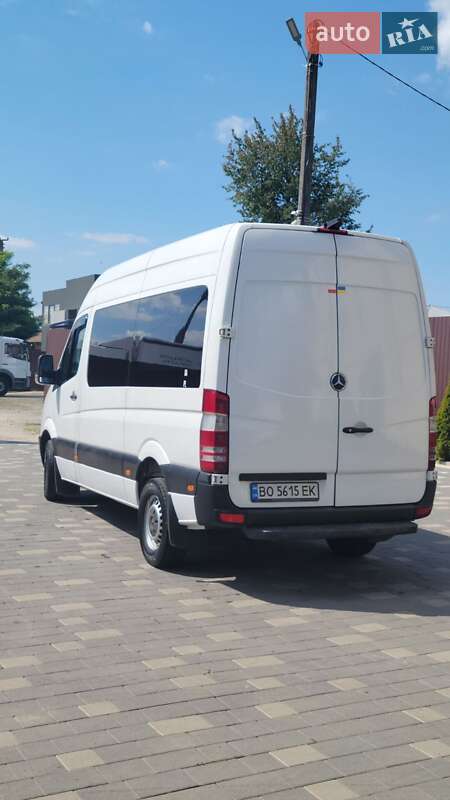 Мікроавтобус Mercedes-Benz Sprinter 2009 в Бучачі