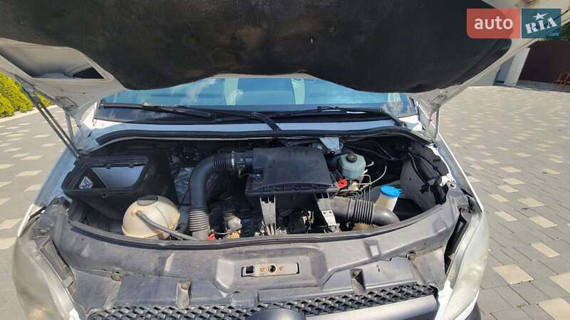 Мікроавтобус Mercedes-Benz Sprinter 2009 в Бучачі