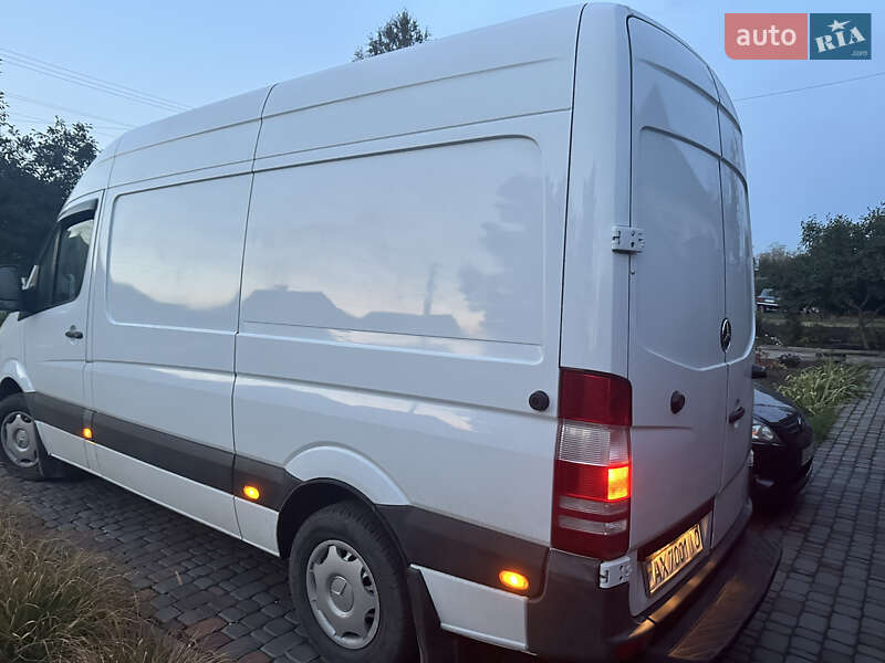Грузовой фургон Mercedes-Benz Sprinter 2009 в Кривом Роге