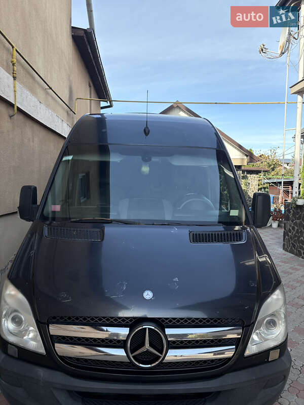 Микроавтобус Mercedes-Benz Sprinter 2010 в 